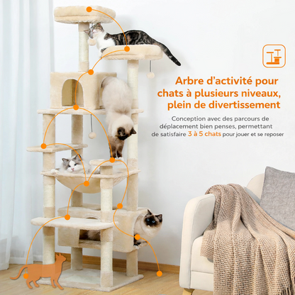 Arbre à Chat XXL Multi-Niveaux – Condo & Hamac – 136 à 184 cm