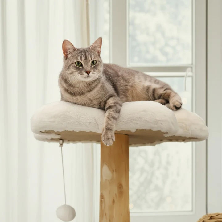 Arbre à Chat en Bois – 111 cm – Osier & Sisal