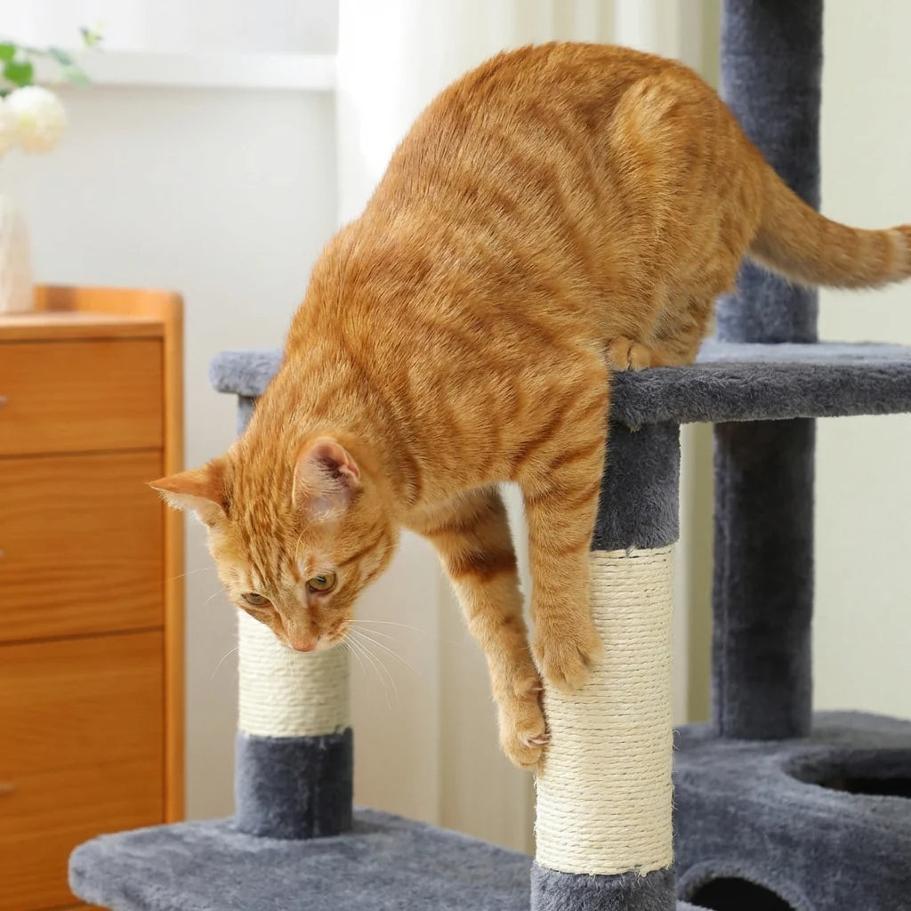 Arbre à Chat XXL 10 Niveaux – 174 cm – Double Niche