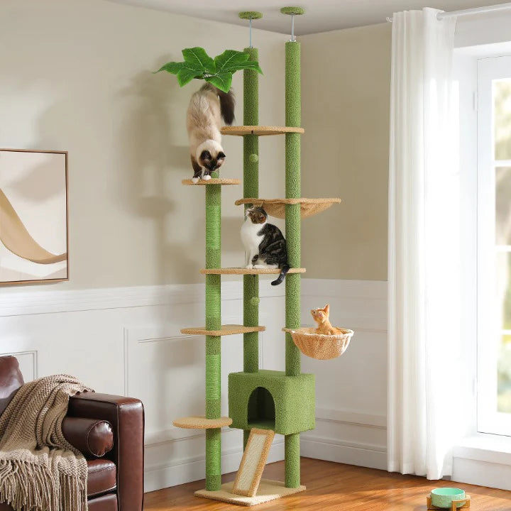 Arbre à Chat Palmier Sol-Plafond Réglable – Condo & Hamac