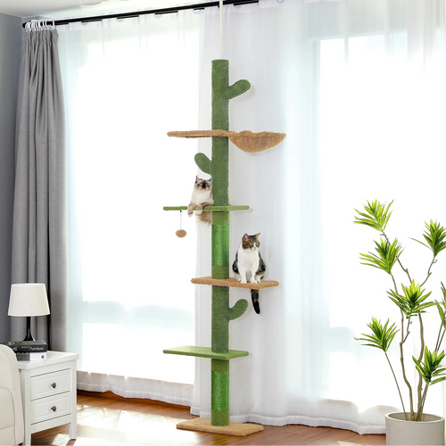 Arbre à Chat Cactus Sol-Plafond 5 Niveaux – 229 à 275 cm