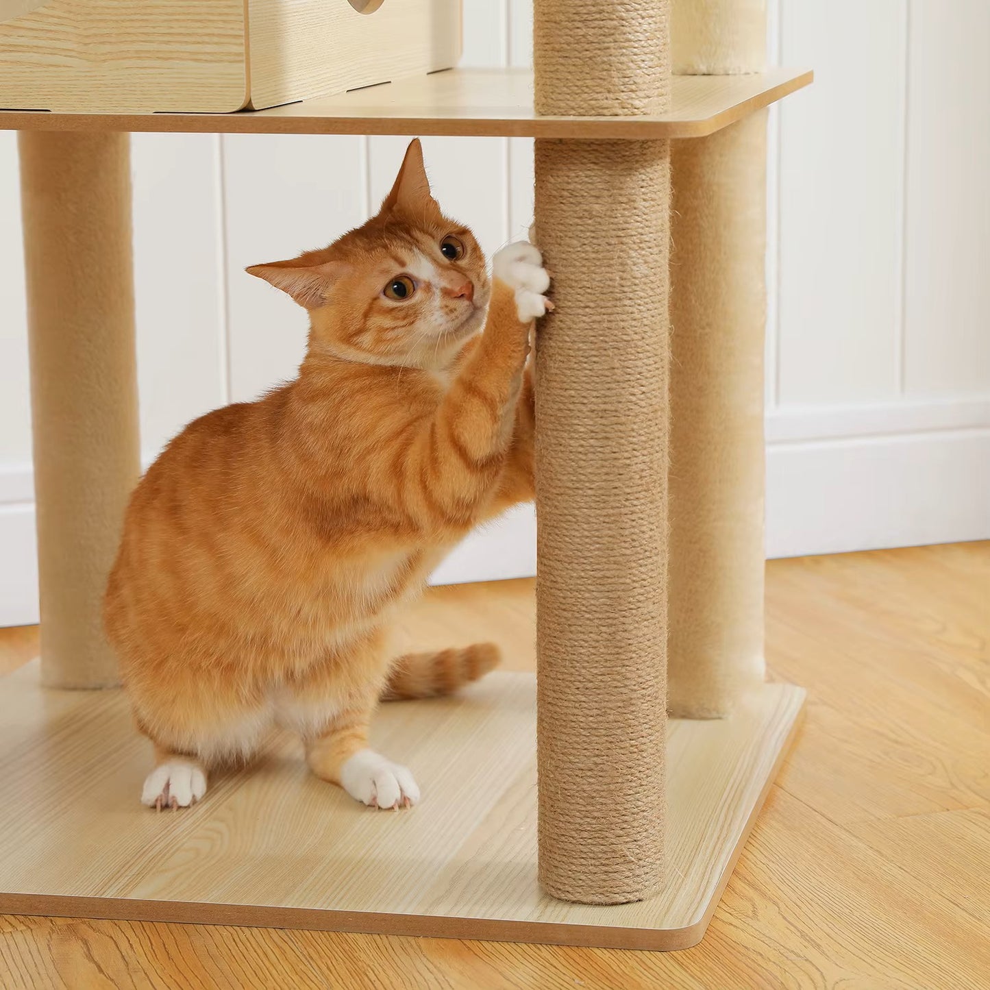 Arbre à Chat Multi-Niveaux – Hamac Acrylique & Niche Spacieuse