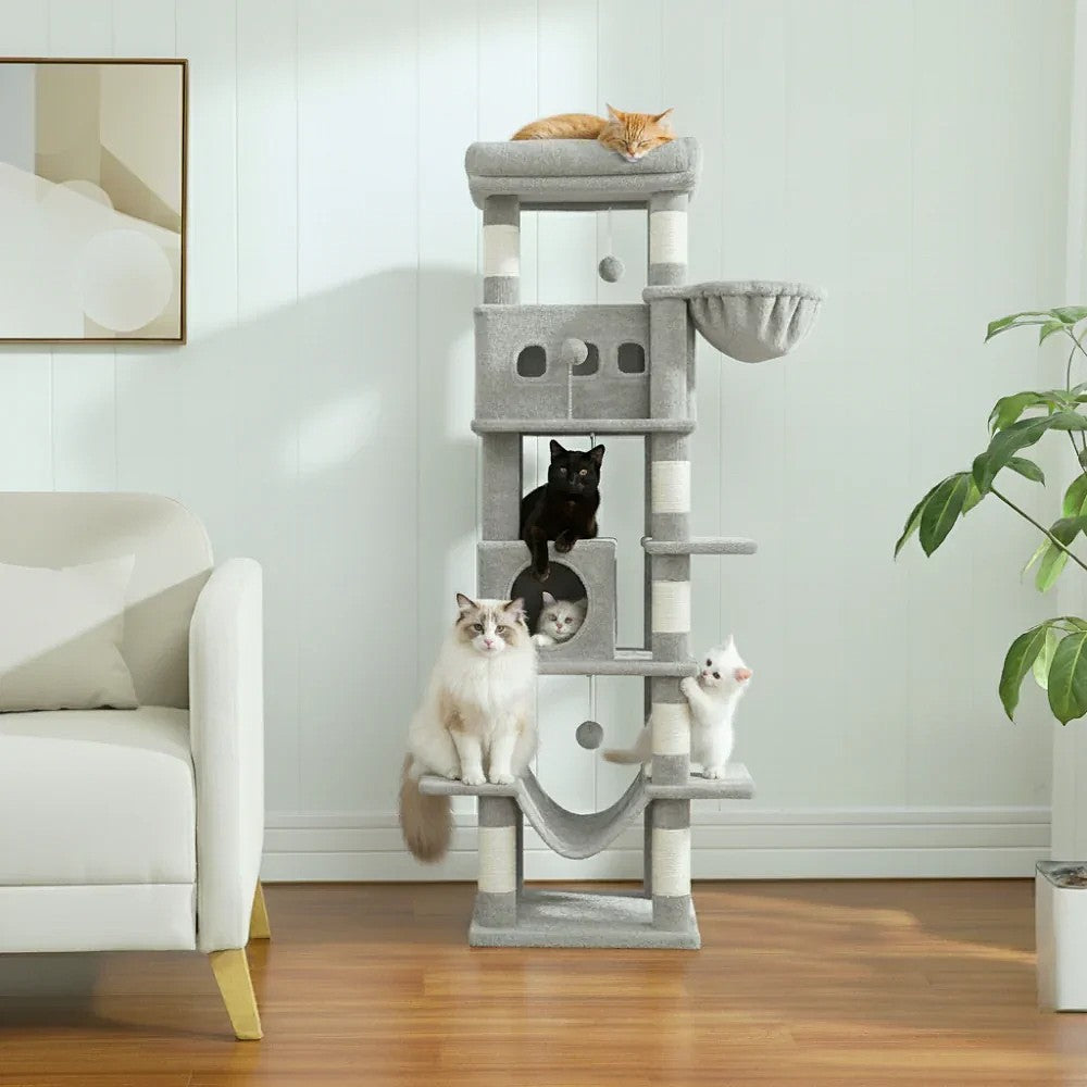 arbre à chat 170 cm avec plateformes et niche installé dans un salon