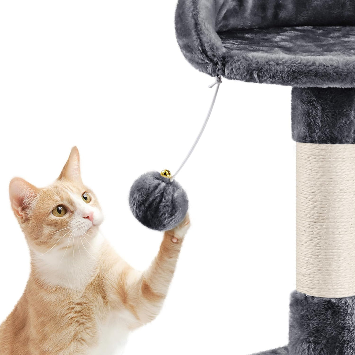 chat jouant avec la balle suspendue d un arbre à chat XXL gris foncé
