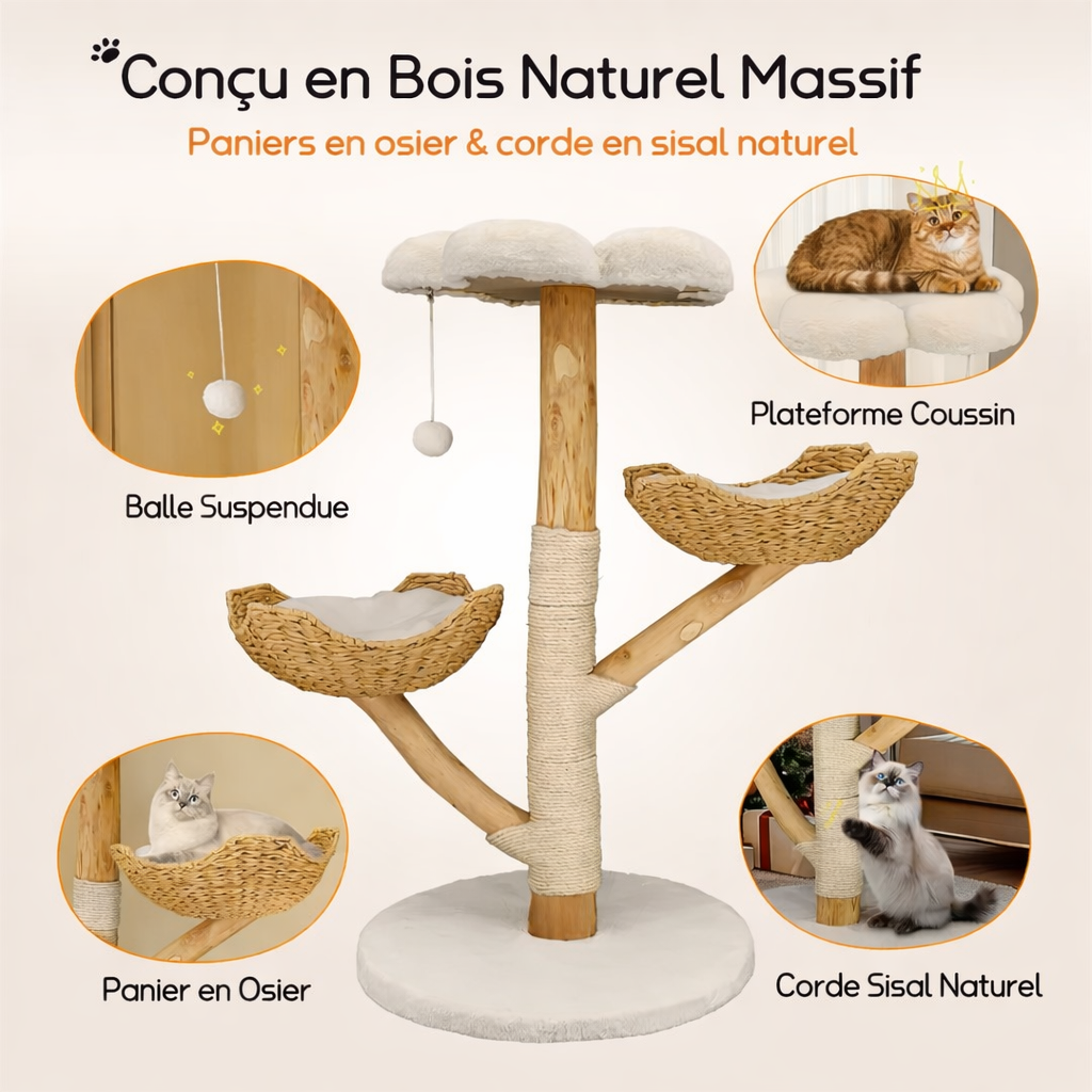 caractéristiques arbre à chat en bois naturel avec plateformes et panier