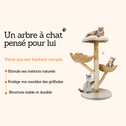 arbre à chat en bois naturel avec plateformes et panier suspendu