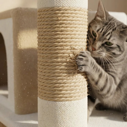 chat faisant ses griffes sur griffoir sisal arbre à chat en bois