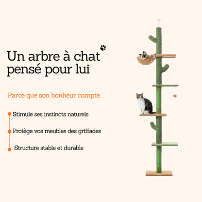 arbre à chat design cactus avec 5 niveaux et panier suspendu