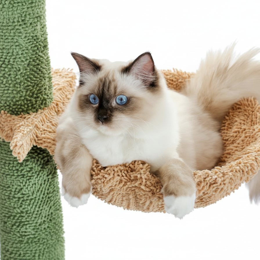 chat dans le panier suspendu d un arbre à chat cactus
