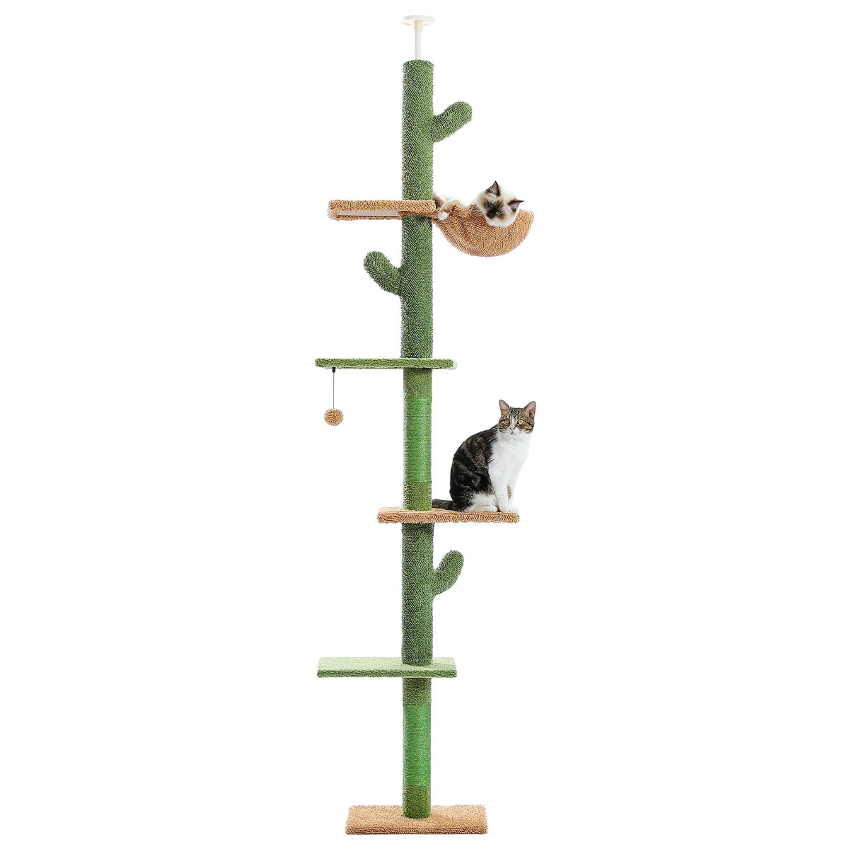 arbre à chat cactus sol plafond 5 niveaux hauteur réglable jusqu à 275 cm