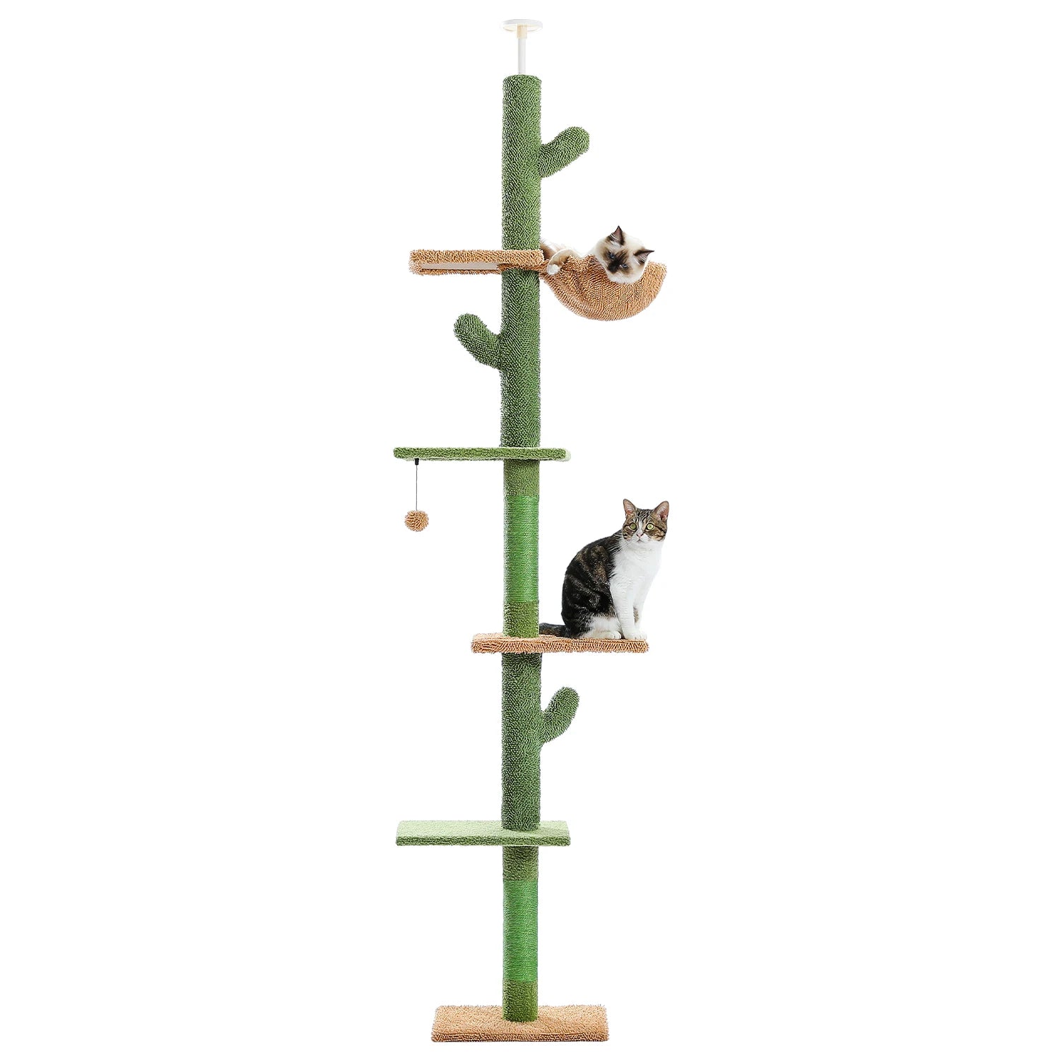 arbre à chat cactus sol plafond 5 niveaux hauteur réglable jusqu à 275 cm