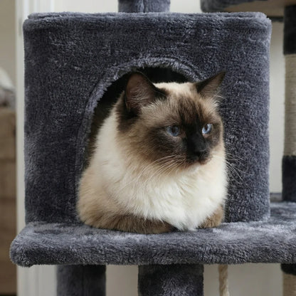 chat dans la niche confortable d un arbre à chat 5 niveaux