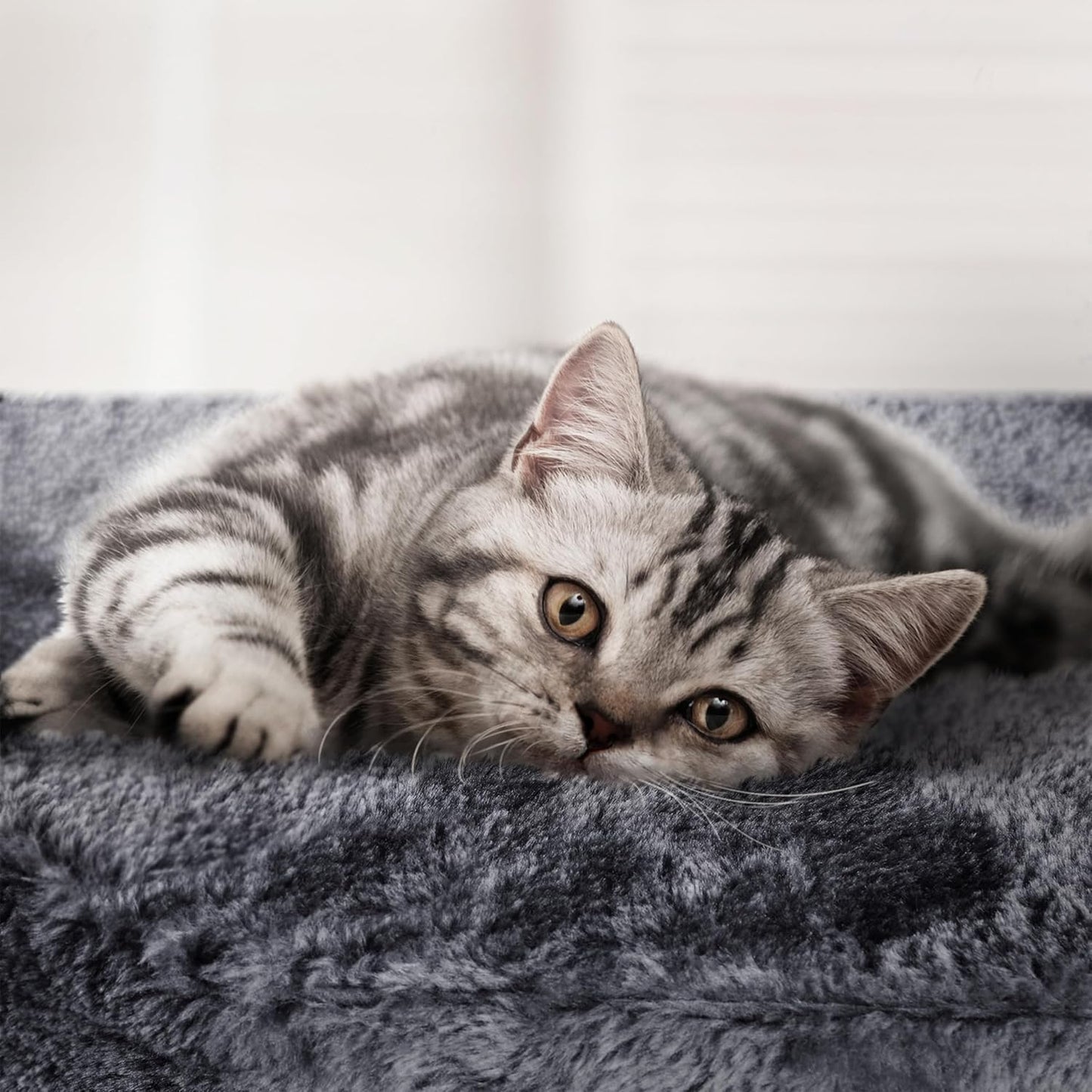 chat se reposant dans la niche d un arbre à chat XXL gris foncé