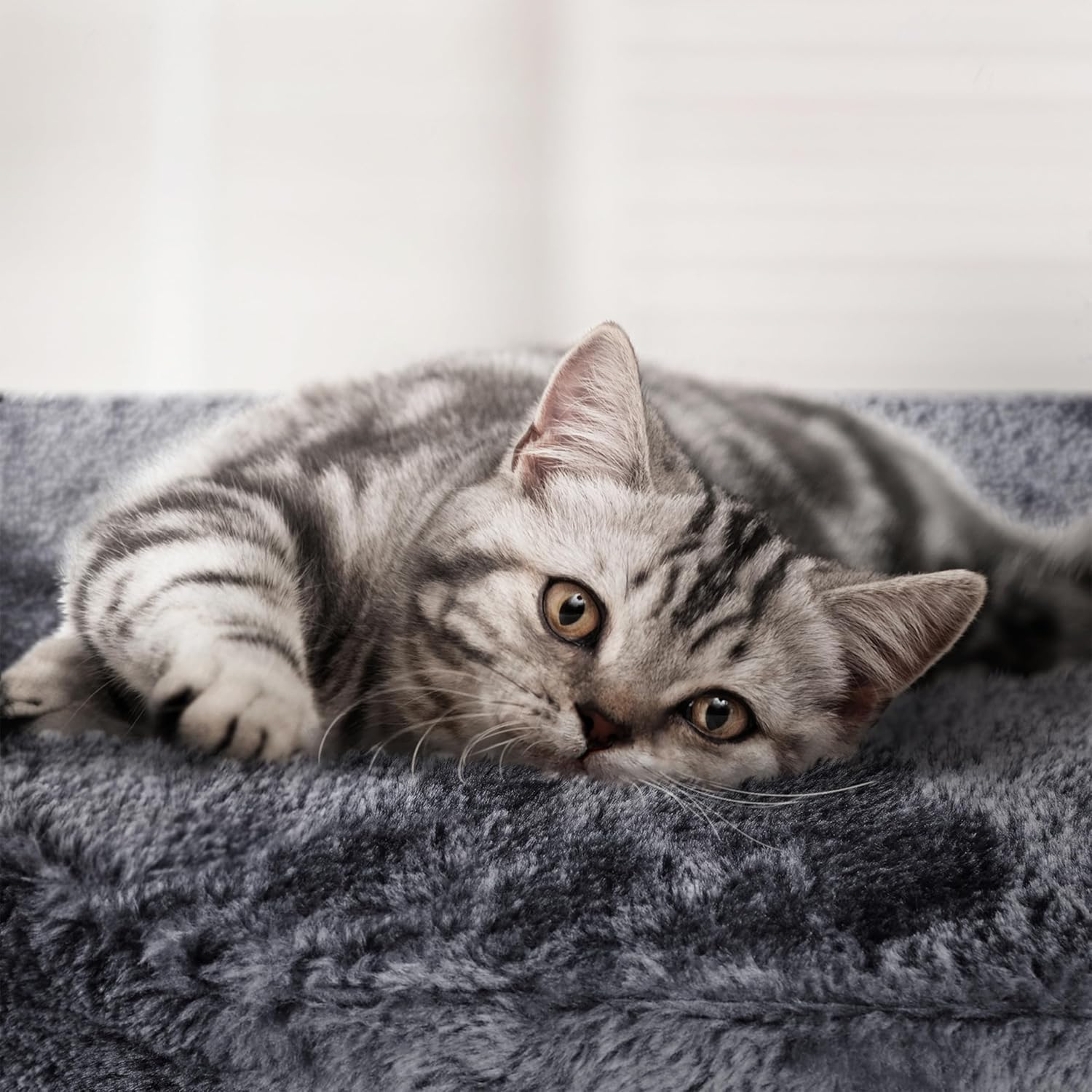 chat se reposant dans la niche d un arbre à chat XXL gris foncé