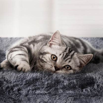 chat se reposant dans la niche d un arbre à chat XXL gris foncé