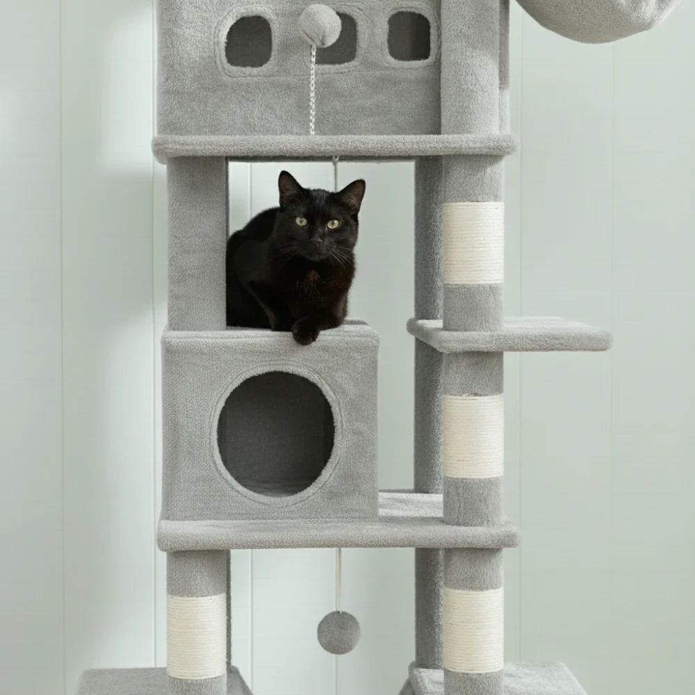 chat dans niche fermée arbre à chat multi niveaux