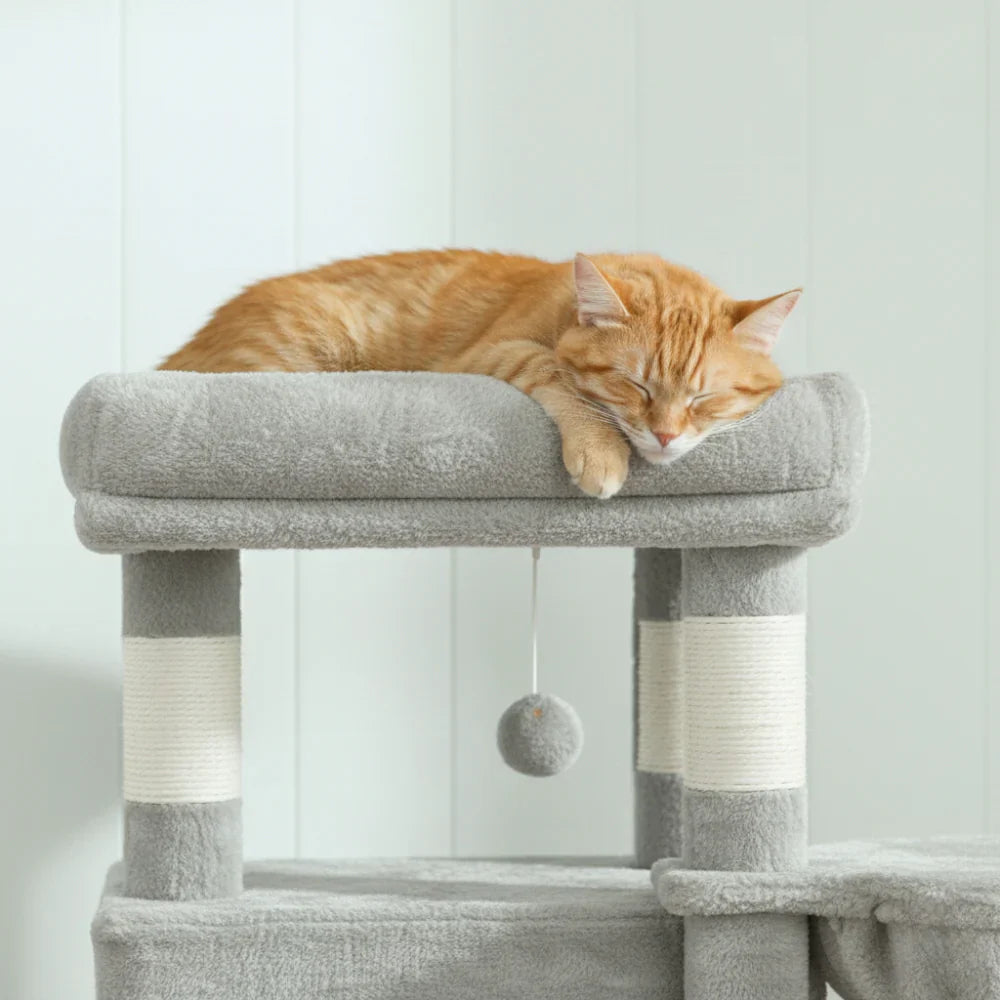 chat couché sur plateforme xl arbre à chat 170 cm