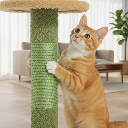 Arbre à Chat Palmier Sol-Plafond Réglable – Condo & Hamac