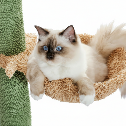 Arbre à Chat Cactus Sol-Plafond 5 Niveaux – 229 à 275 cm